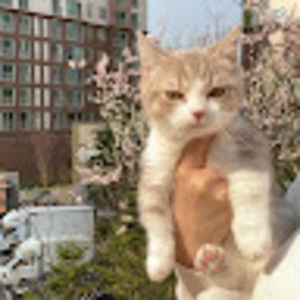 Meet your Posher, Ava